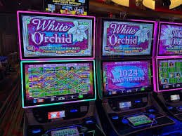dbl slot unified platform dashboard showing football betting, live casino, and slots